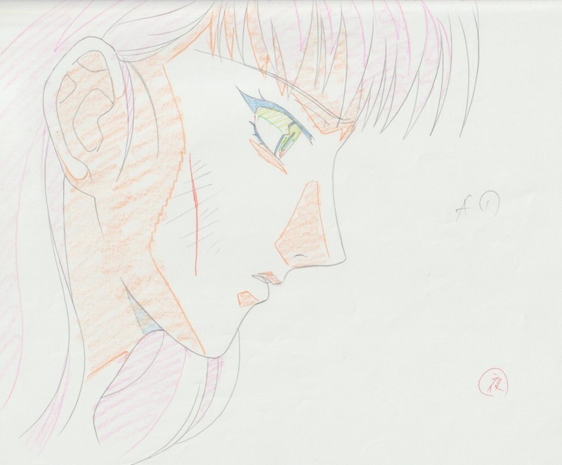 The Twelve Kingdoms Juuni Kokki Genga Douga Original Sketches Pierrot - Youko