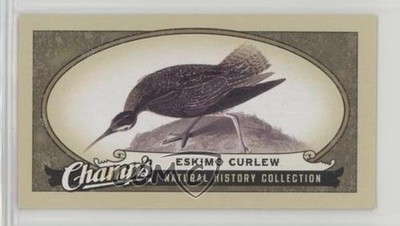 2009-10 Upper Deck Champ's Natural History Collection Eskimo Curlew #483 tk5