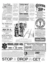 Anheuser Busch Brewing Association  &   Franco American Food Co.   -   1893