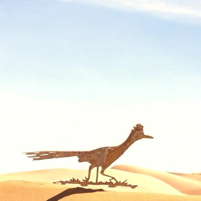 #ad Rusty Roadrunner metal yard art with 12quot; removable garden stake $19.00