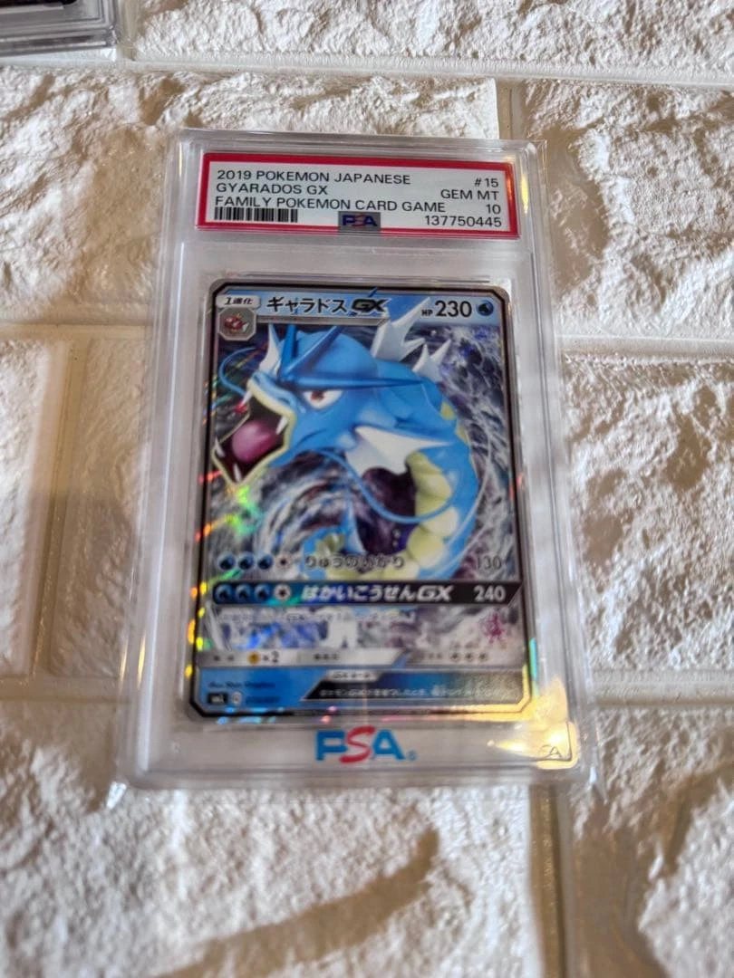 Gyarados GX 015/051 Sml: Sun & Moon Family Pokemon Card Game for