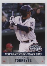 2015 Choice New Hampshire Fisher Cats Ronald Torreyes #25 1c1