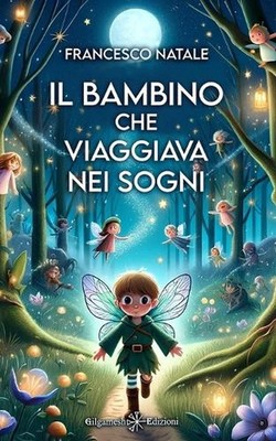 Il bambino che viaggiava nei sogni by Francesco Natale (Italian) Paperback Book