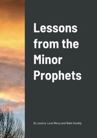 Terry Dilts | Lessons From The Minor Prophets | Taschenbuch | Englisch (2022)