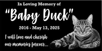 Personalized Pet Stone Memorial Grave Marker Granite Plaque Human headstone cat