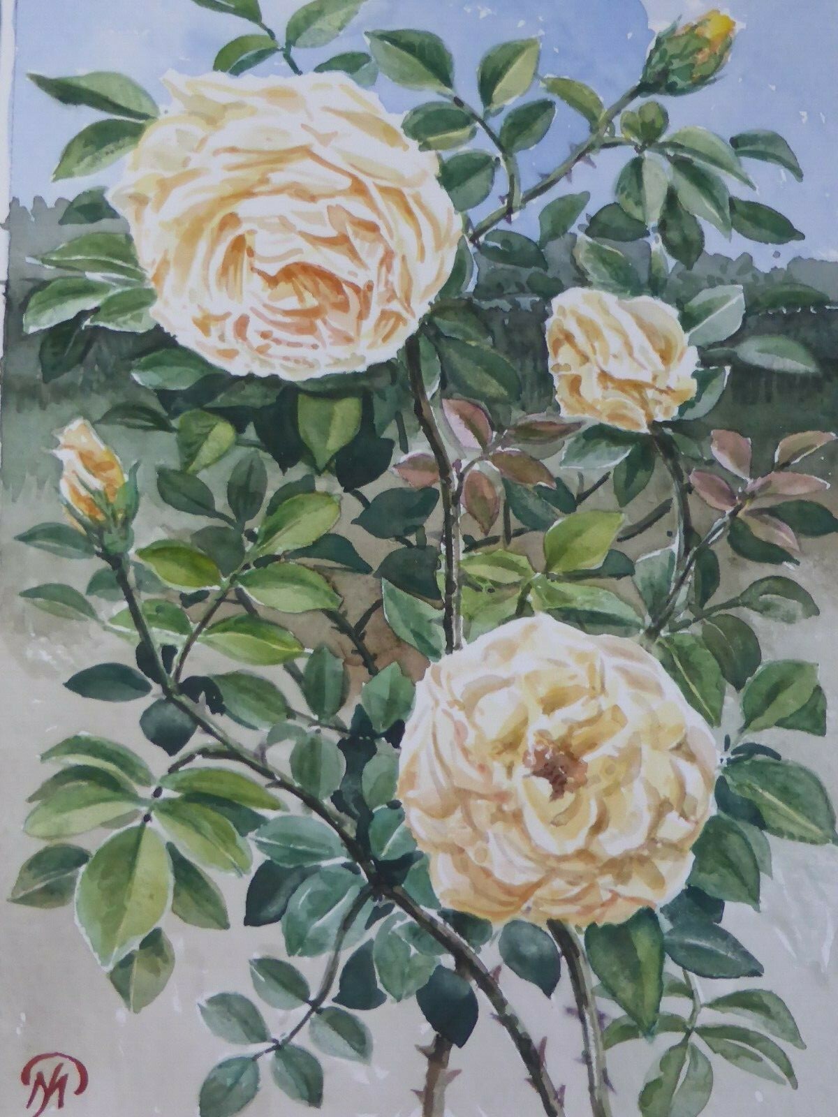 Max Pfaller (1937 München) Aquarell Stillleben Teerosen (684)