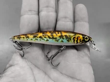 Fishing Lure, Dynamic Lures J-SPEC (9 Mile Goby) Jerkbait Fishing Lure