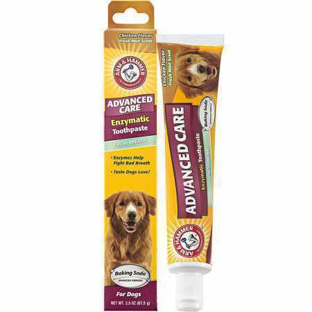 dog toothpaste ebay