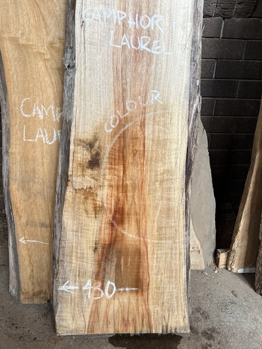 Camphor Laurel Timber Slab - 1.88m Long, GNT4390 - Picture 4 of 8