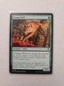Young Wolf - Innistrad Remastered - LP - Common - Creature 