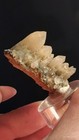 Lattice Quartz Cluster – Erongo, Namibia — photo 2