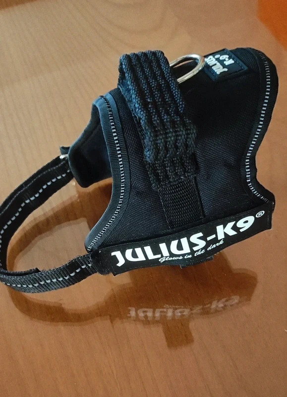 Julius-K9, Pettorina IDC Power, Taglia: XS / Mini-Mini, Colore: Nero