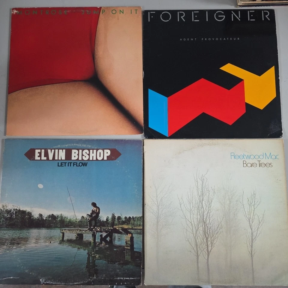 Job Lot Vinyl RECORD COLLECTION 38 x 12" LP's CLASSIC ROCK 1970-80's Vg+-NM Lot1 Foto 2 de 4