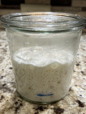 Active Dehydrated Sourdough Starter   Live Wild Yeast Culture for Bread Baking