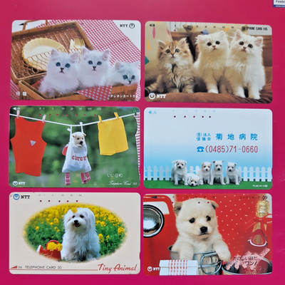6 Telefonkarten Japan Kitten  Katzen Hunde Konvolut Sammlung E35