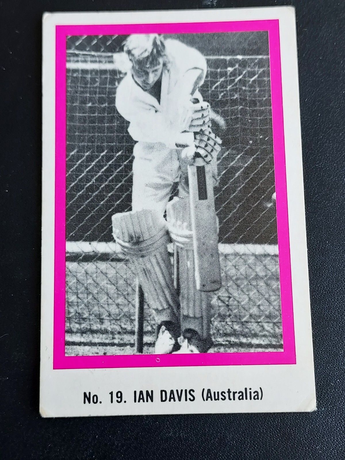 The Ashes: Victory In Australia (Vidéo 1987