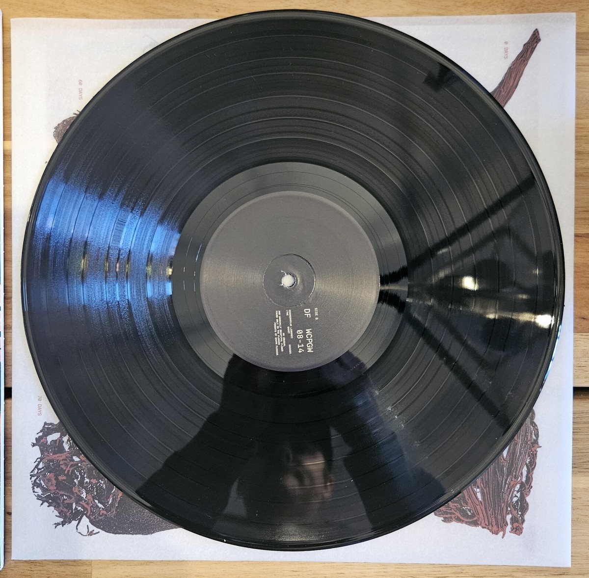 Dominic Fike レコードセット s-l400.jpg