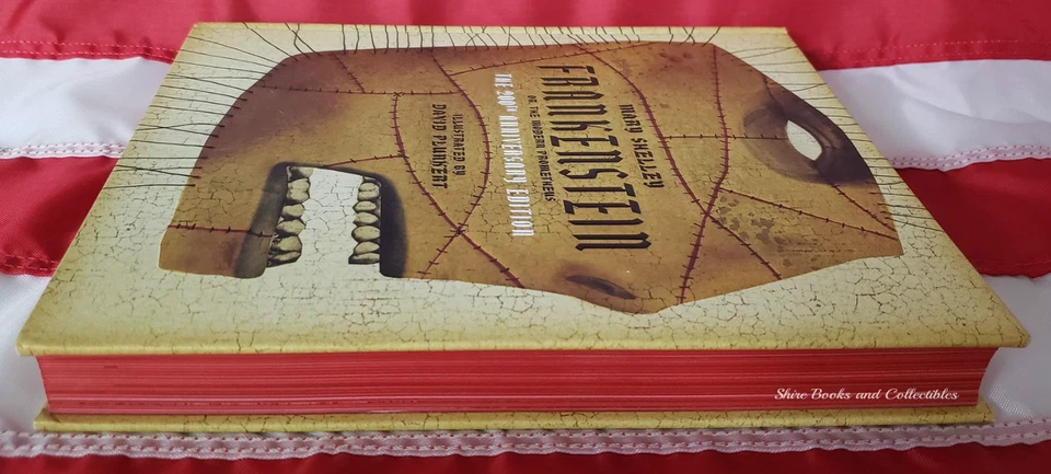 NEW Frankenstein Mary Shelley Illustrated HARDCOVER 200th Anniversary Plunkert - Image 4 of 4