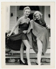 Flirting Females 1950 Skirts Raised 5x4 Flirtatious Sexy Women Girls Legs Q8578