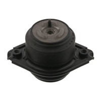 Lagerung, Motor Febi Bilstein 26479