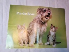 Vintage 70s Xerox I'm The Boss Cute Kitten Kitty Cat Dog Poster Wall Art 21x15