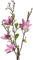 Clayre & Eef 5PL0129P Dekoration Zweig Mit Rosa Blumen 15X7X84 Cm