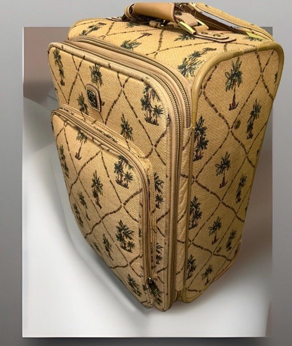 Pegasus 22” Rolling Carry On con mango telescópico Nada roto o rasgado A+