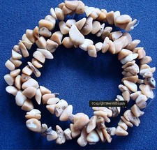 Tibetan coral fossilized natural bamboo medium chip beads 16" st beads BS063