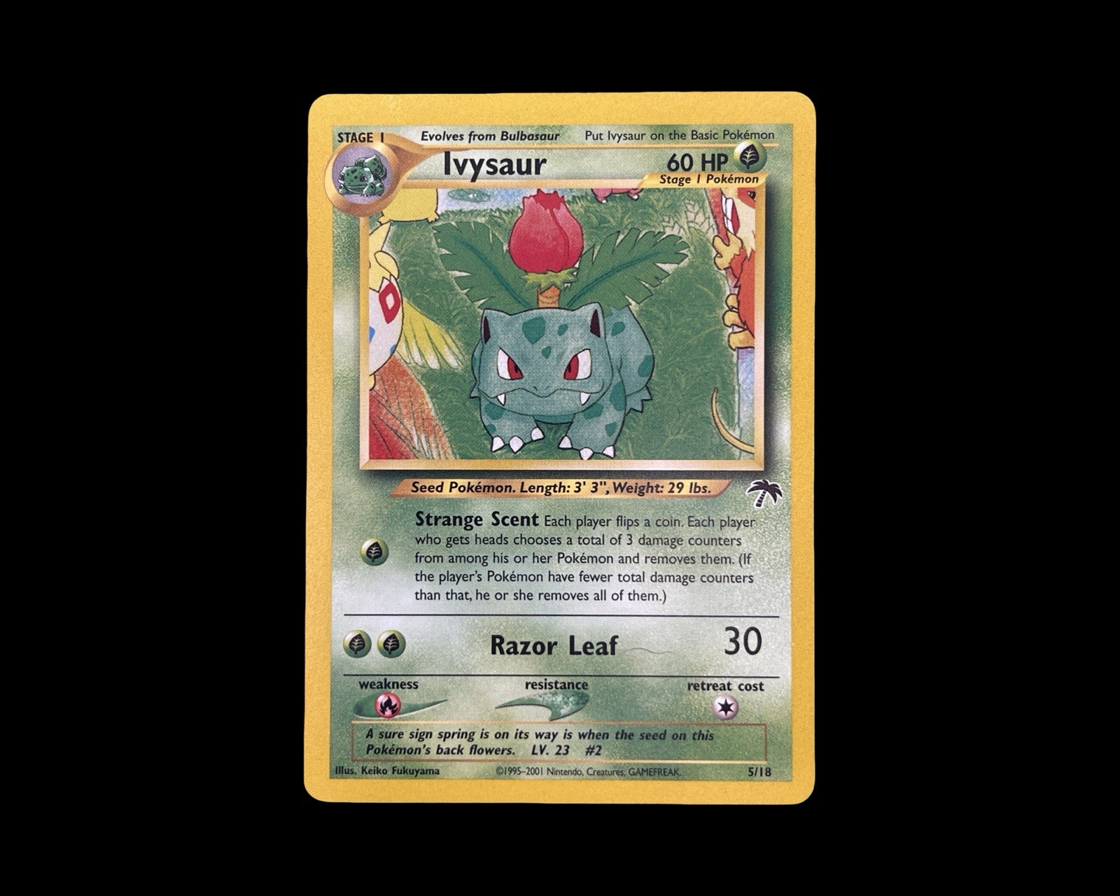 Ivysaur 5/18 Pokemon Southern Islands LP