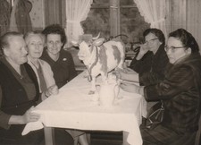 Vintage Photo Women with Milka Lila Cow Advertising Shot 1960s