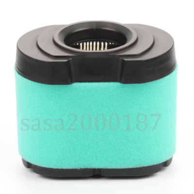 Filtro Aria Per Pulitore Briggs & Stratton 792105 407777 40G777 - Foto 11