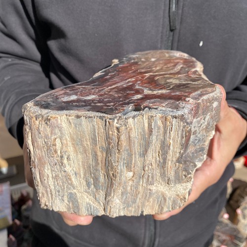 10.3LB Rare Natural petrified wood rough Wood fossil mineral specimen healing - Picture 2 of 20