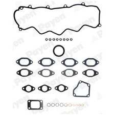 Payen Dichtungssatz Zylinderkopf 500369483 71713987 | 22200082