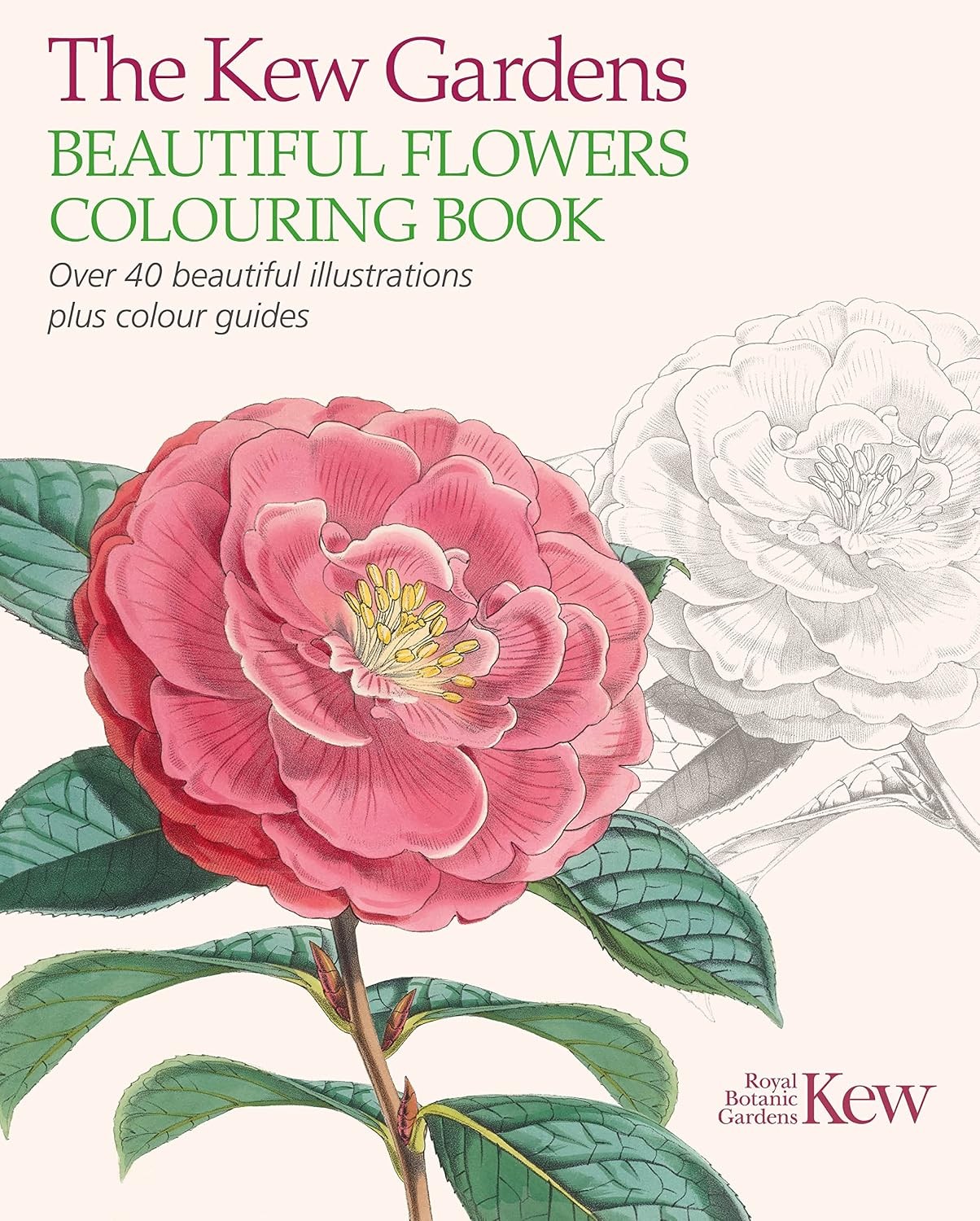 The Kew Gardens Beautiful Flowers Colouring Book: Over 40 Beautiful Illustratio - Image 8