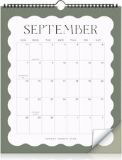 Aesthetic 2025-2026 Wall Calendar - Runs from May 2025 until December 2026 - the
