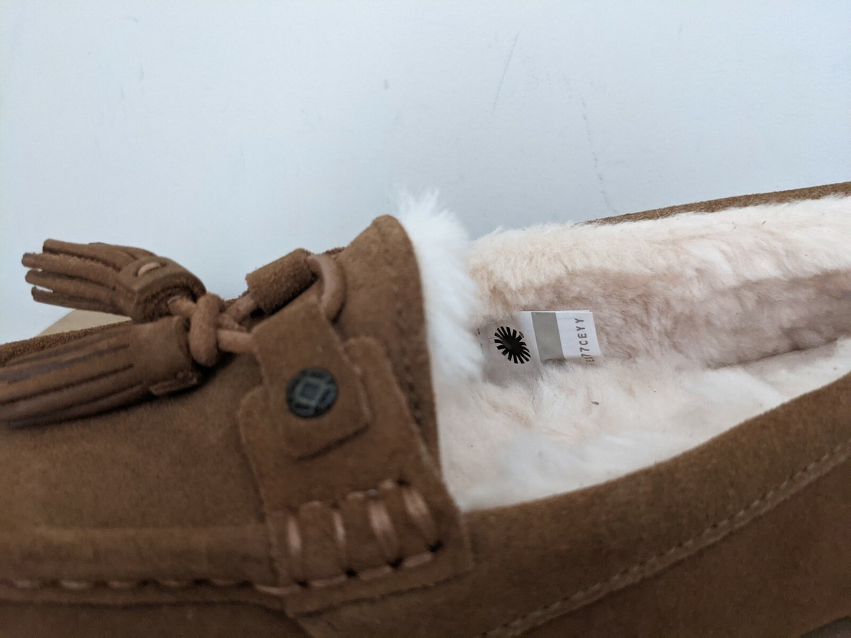 Ugg Australia Womens Litney moccasin Size 8 NIB | eBay Ugg Australia Womens Litney moccasin Size 8 NIB | eBay