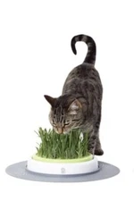 CATIT DESIGN SENSES GRASS GARDEN KIT - GRASS INCLUDED - 50755