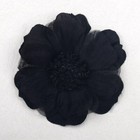 Foto 25 di 25