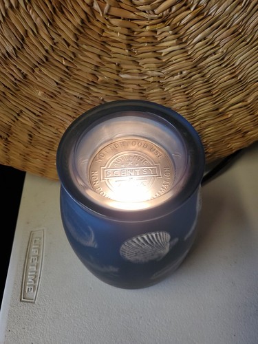 Scentsy Tide Scaldacera Piscina Vetro Conchiglie Vetro Blu Nuovo Senza Scatola Nautico - Foto 2 di 3