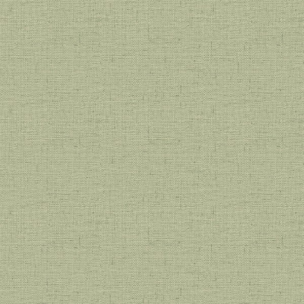 Maya Textur Tapete Texturiertes Vinyl Hessian Belgravia 1722 SalbeigrüN-image