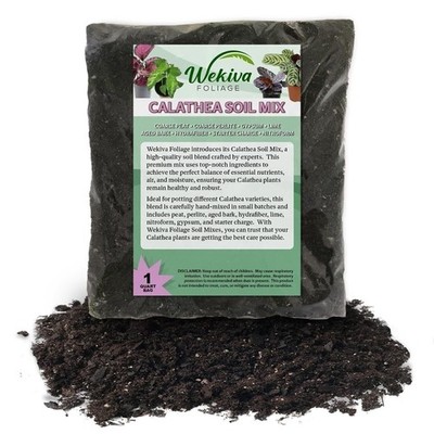 Calathea Growing Soil Mix   Custom Soil Blend