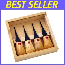Professional Palm Carving Set