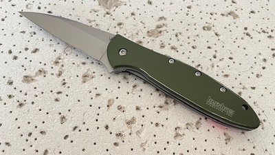 Kershaw Leek 1660OL Linerlock Olive A/O Plain Blade Folding Pocket Knife Ken Oni