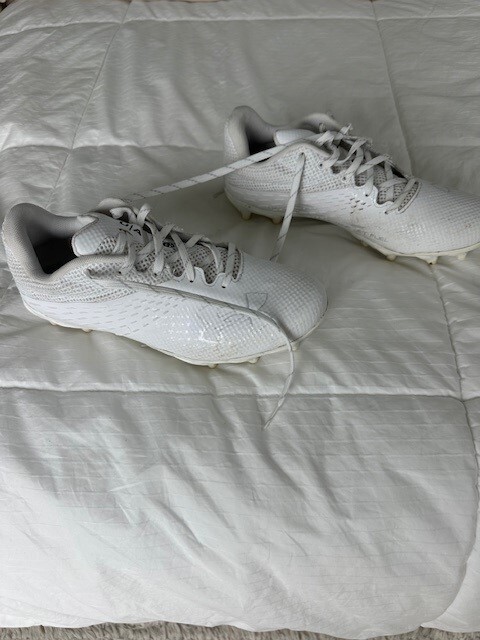 Picture 1 of 6