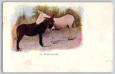 Undivided Back Postcard~ No Color Lines Here~ Black & White Donkeys~ Anti Racism