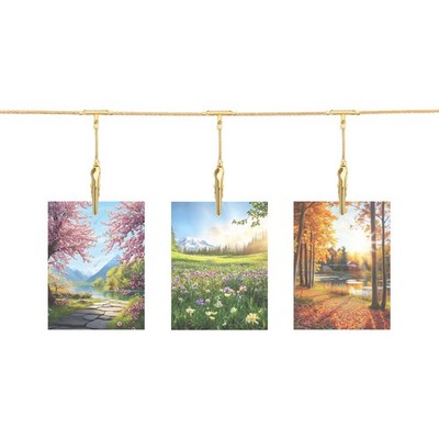 2pcs Wall Hanging Photo Display Cable Wire Rod with 24 Alligator Clip Gold5Ft