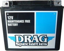 DS AGM Maintenance Free Battery #212244