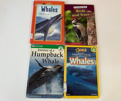 Lot Of 4 Natural Non-Fiction Books - Birds And Whales