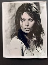 SOPHIA LOREN  - Vintage Rare Original Press Photo