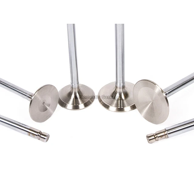 Se adapta a 89-97 Nissan 240SX camioneta Stanza D21 2,4 L admisión válvulas de escape sellos KA24E Foto 4 de 4